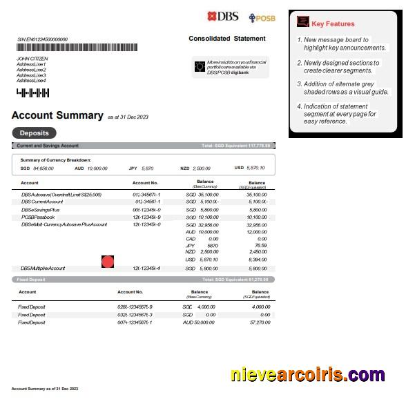Singapore DBS bank statement Word and PDF, version 2